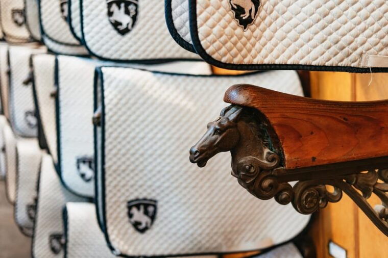 vienna-spanish-riding-school-stables-guided-tour