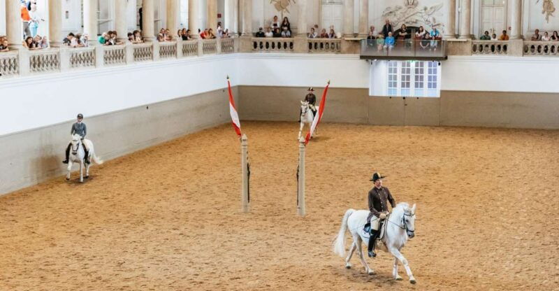 vienna-spanish-riding-school-training
