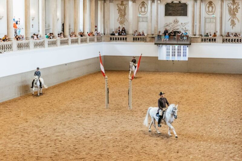 vienna-spanish-riding-school-training