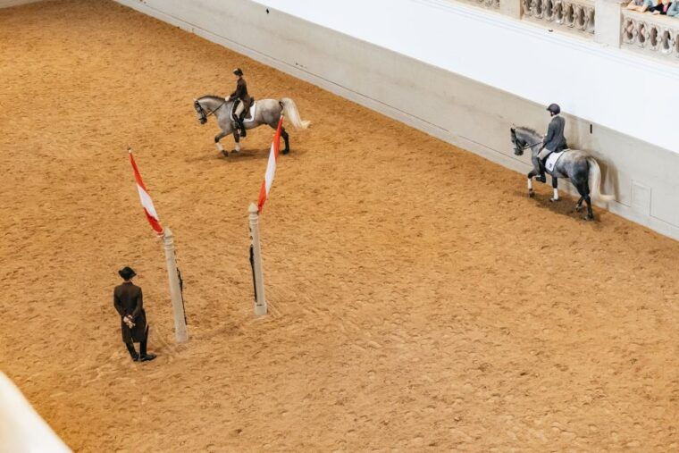 vienna-spanish-riding-school-training
