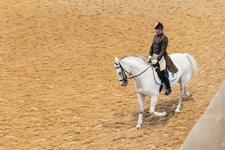 vienna-spanish-riding-school-training