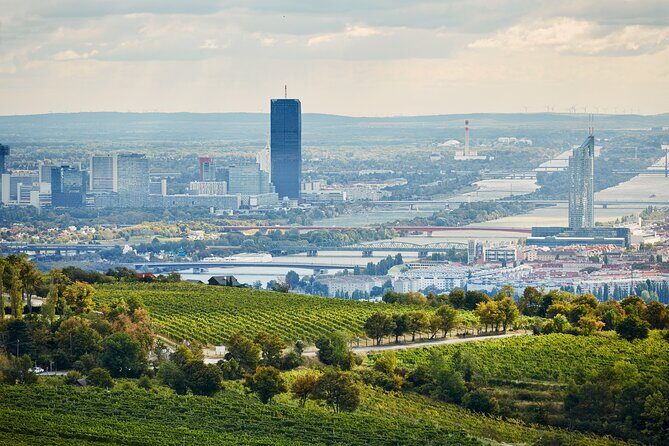 Vienna Wine Experience - Practical Details: What You Need to Know