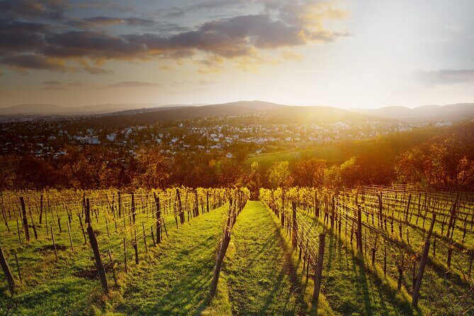 Vienna Wine Experience - Authentic Experiences and Positive Feedback