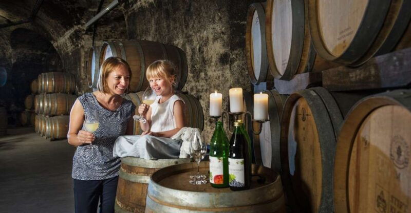 vienna-wine-tasting-e-bike-tour