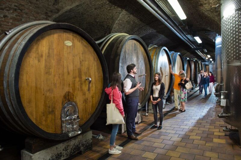 vienna-wine-tasting-e-bike-tour