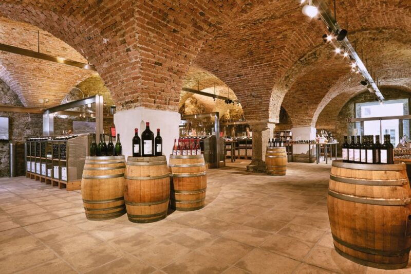 vienna-wine-tasting-e-bike-tour