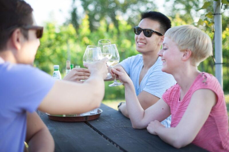 vienna-wine-tasting-e-bike-tour