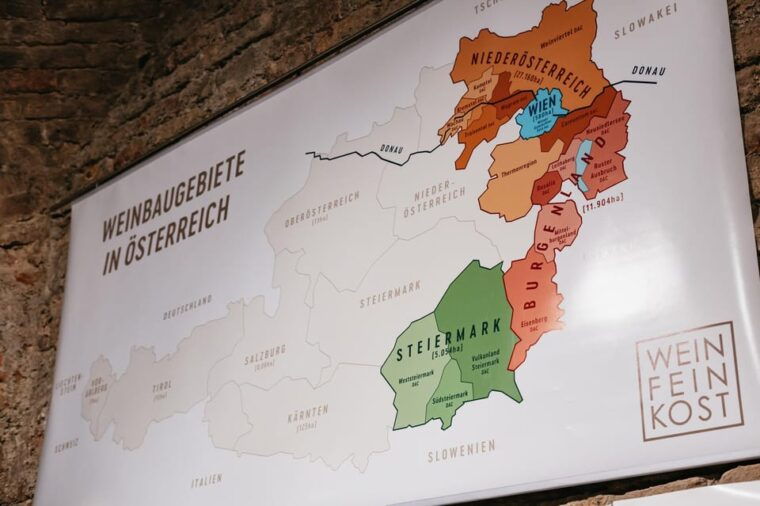 vienna-wine-tasting-experience-in-a-private-wine-cellar