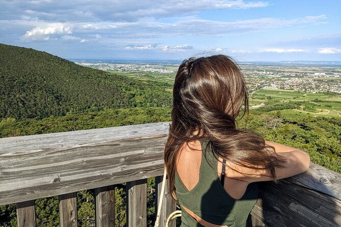 vienna-woods-wine-tour-wines-vines-good-times