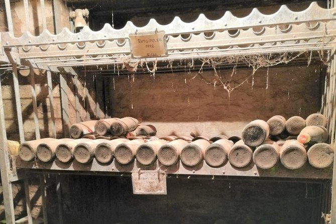 vienna-woods-wine-tour-wines-vines-good-times