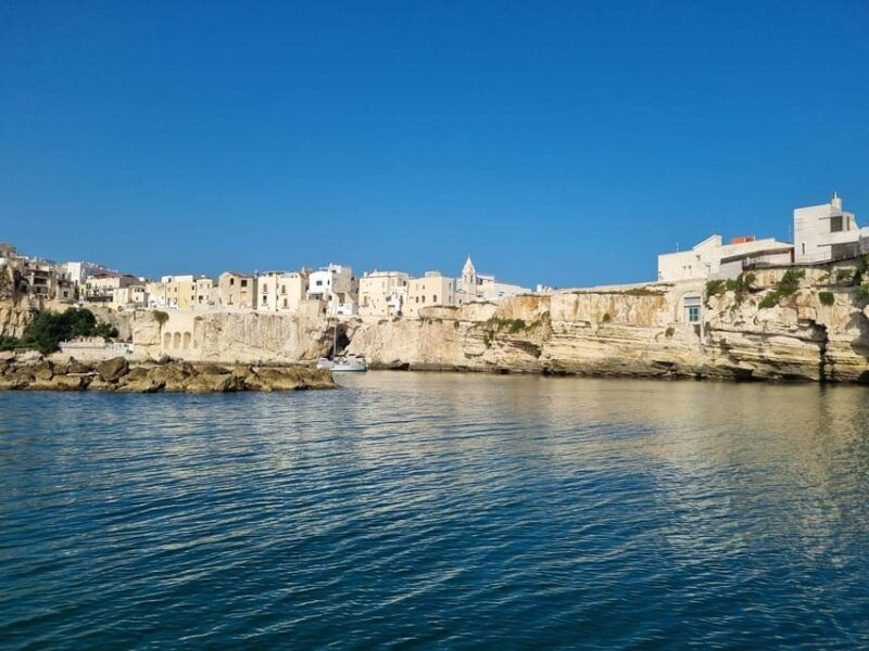 vieste-south-coast-boat-excursion-with-swim-stop