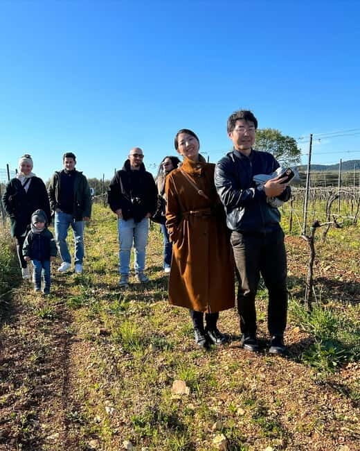Vieste: Wine Tasting & Vineyard Walk to Cantine Merinum - Who Is This Tour Best For?