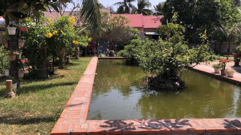 Viet Garden Cooking Class (Countryside and Market tour) - Who Will Love This Tour?