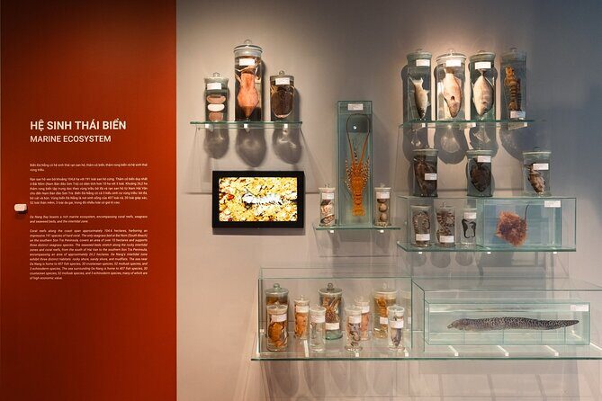 Vietnam Da Nang Museum Admission Ticket - Additional Practical Tips
