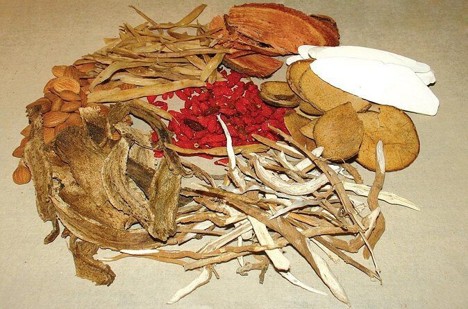 Vietnam: Fito Museum Featuring Traditional Medicine - FAQs