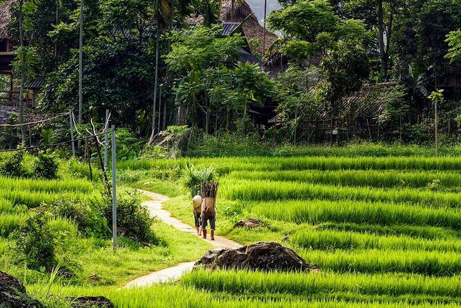 Vietnam Private Tour Explore Ethnic Culture and Nature in 15 Days - FAQ
