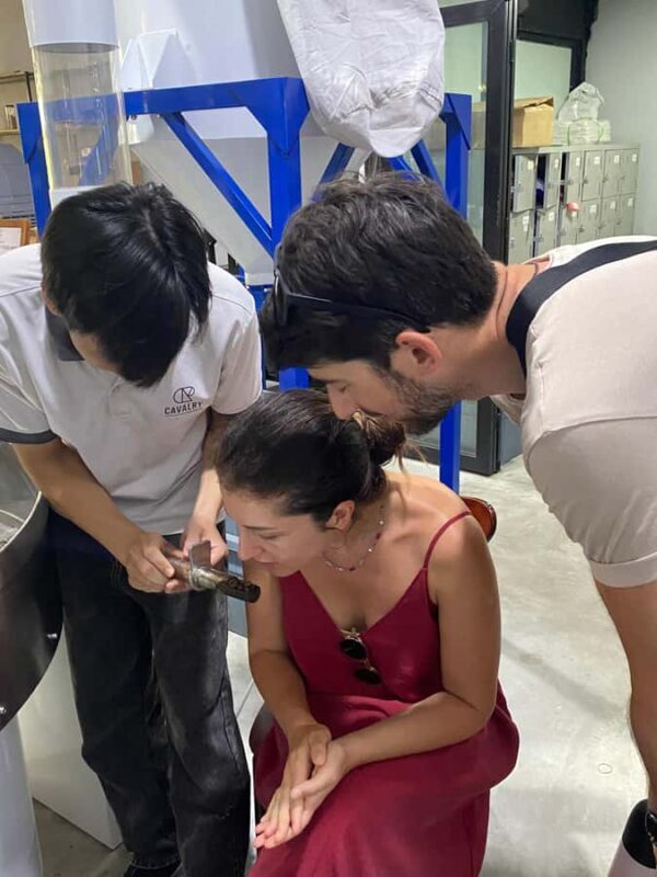 Vietnamese Coffee Secrets: Hands-On Workshop in Hoi An - Key Points