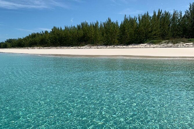 view-the-turtles-rose-island-gilligans-island-and-fishing-tour
