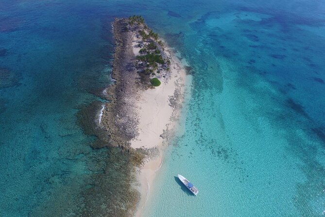view-the-turtles-rose-island-gilligans-island-and-fishing-tour