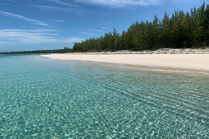 view-the-turtles-rose-island-gilligans-island-and-fishing-tour