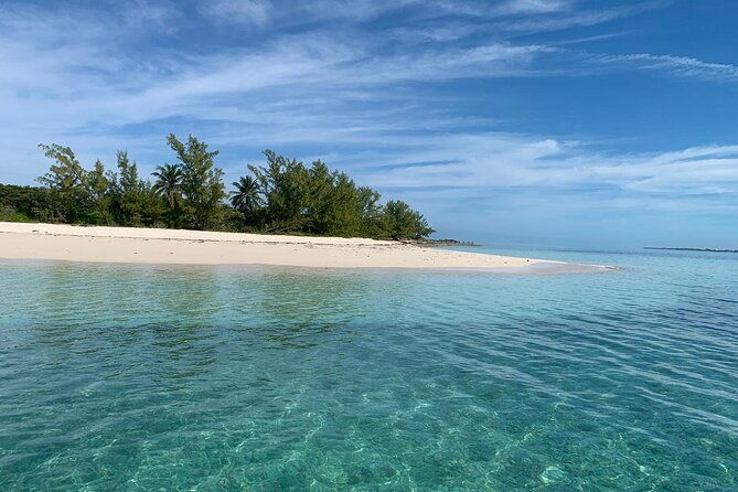 view-the-turtles-rose-island-gilligans-island-and-fishing-tour