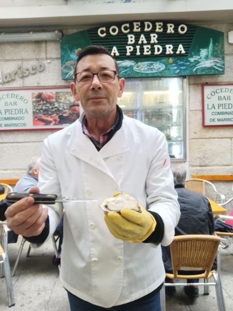 vigo-a-feast-of-flavors