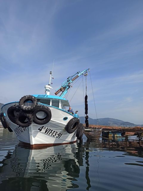 vigo-bay-of-san-simon-mussel-farming-tour
