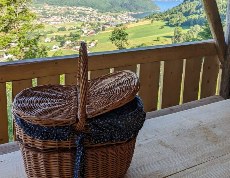 vik-hiking-tour-with-farm-visit