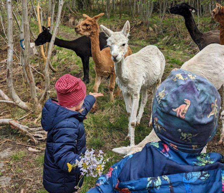 vik-i-sogn-authentic-farm-visit