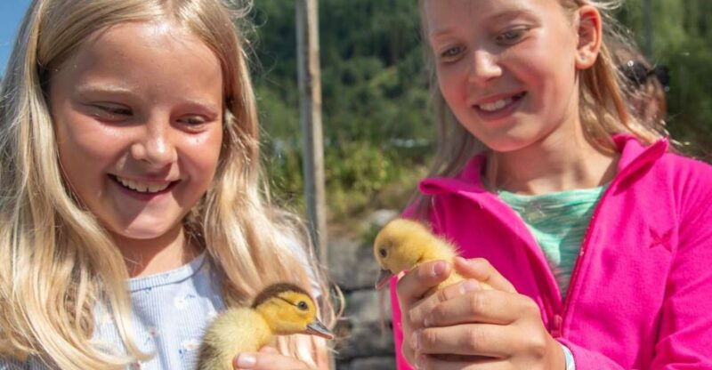 vik-i-sogn-authentic-farm-visit