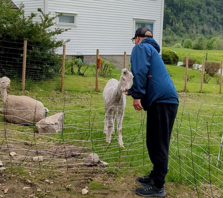 vik-i-sogn-authentic-farm-visit