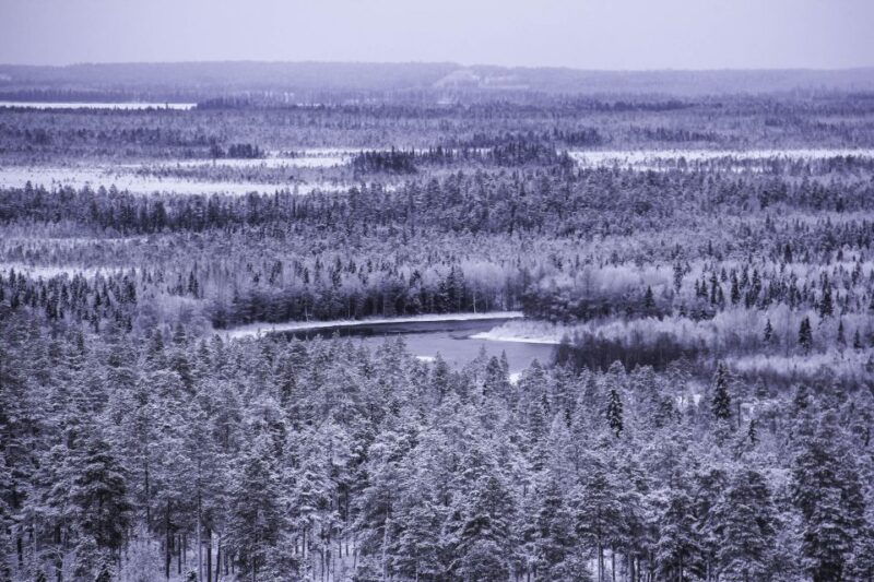 vikakongas-hike-nature-and-silence