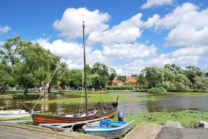 Viking History Small Group Tour from Stockholm: Half Day Including Sigtuna - Overview of the Tour Experience