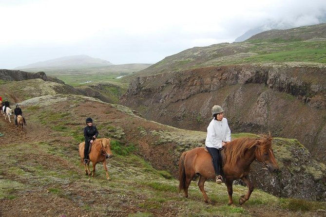 viking-horse-riding-and-golden-circle-tour-from-reykjavik
