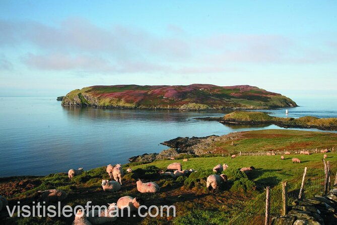 viking-tour-of-the-isle-of-man-half-day-private-tour