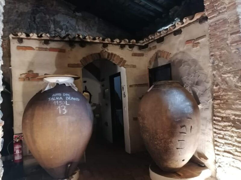 vila-de-frades-talha-wine-tour-with-tastings