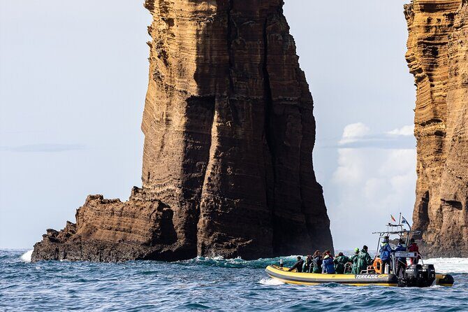 Vila Franca Islet: Biologist Guided Boat Around Eco Tour - Who Will Love This Tour?