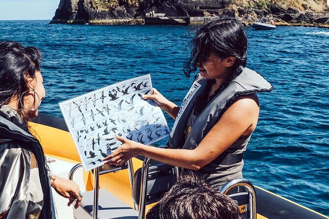 Vila Franca Islet: Biologist Guided Boat Around Eco Tour - FAQs