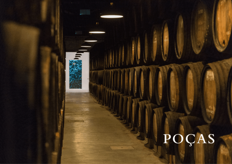 vila-nova-de-gaia-winery-tour-with-2-doc-douro-2-ports
