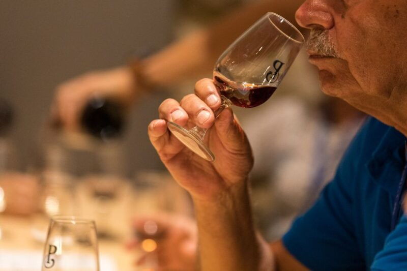 vila-nova-de-gaia-winery-tour-with-2-doc-douro-2-ports