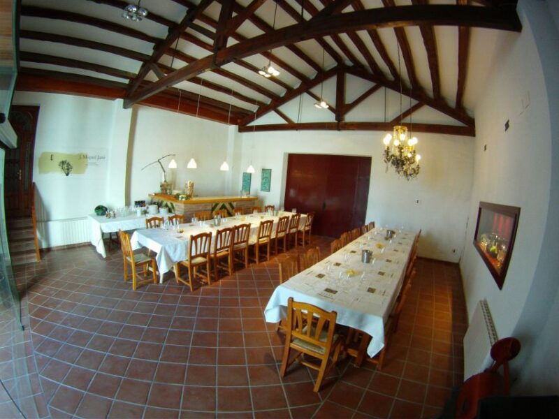 vilafranca-del-penedes-winery-visit-with-tastings