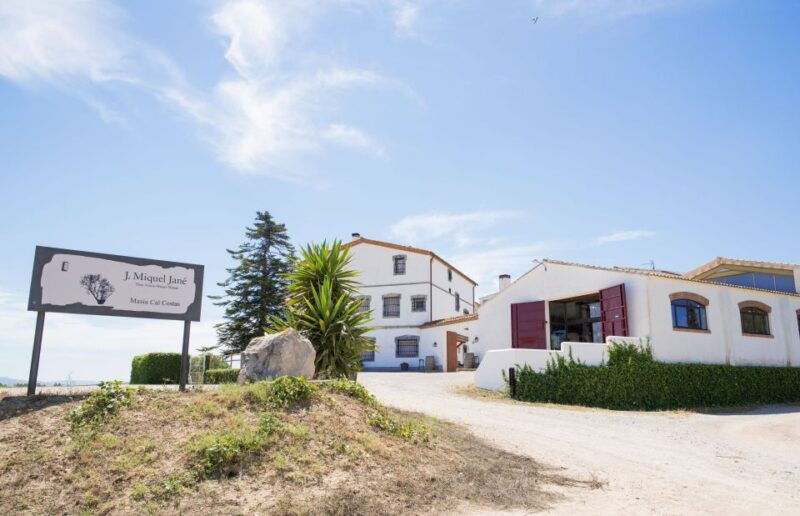 vilafranca-del-penedes-winery-visit-with-tastings