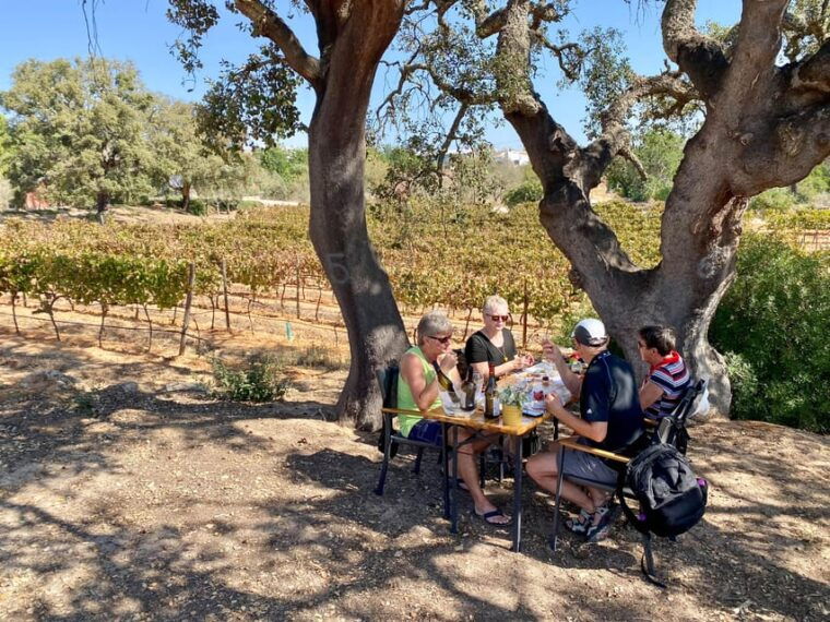 vilamoura-albufeira-lagos-algarve-mountains-private-tour