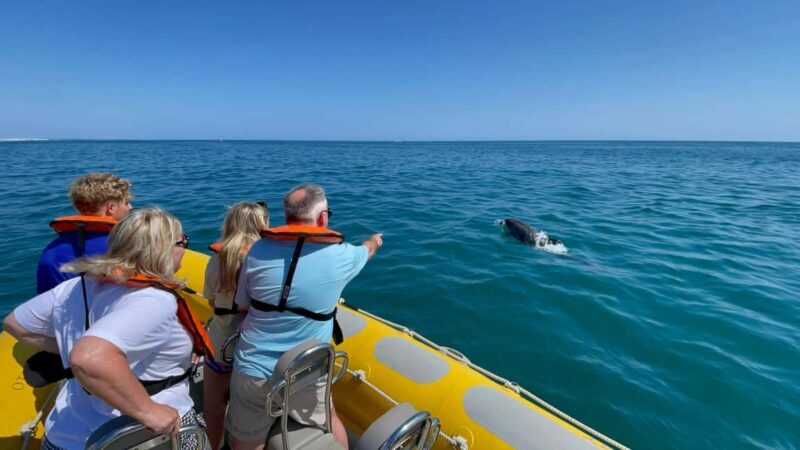 Vilamoura: Private Boat Tour Benagil Cave and Marinha Beach - Final Thoughts