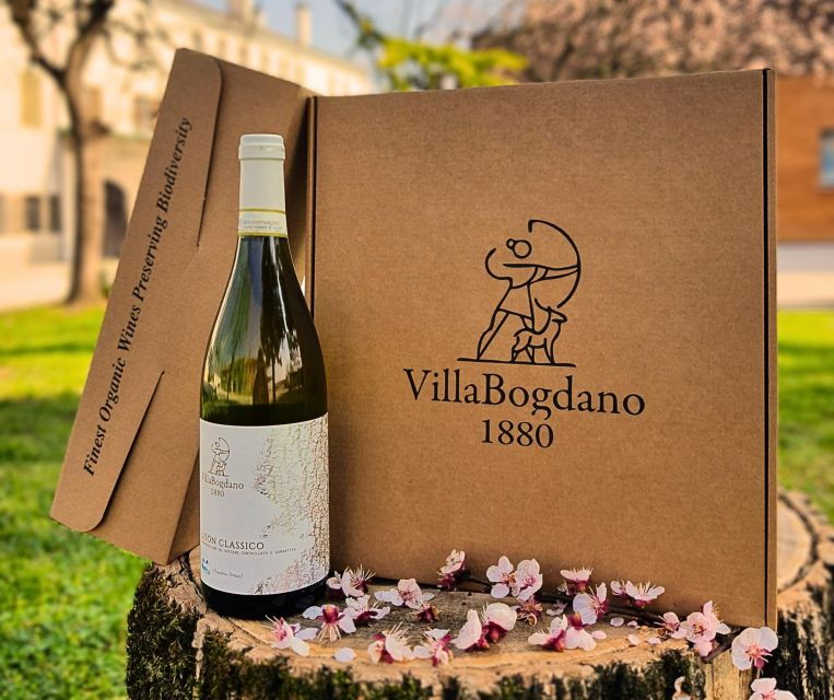 villa-bogdano-1880-guided-winery-tour-and-tasting