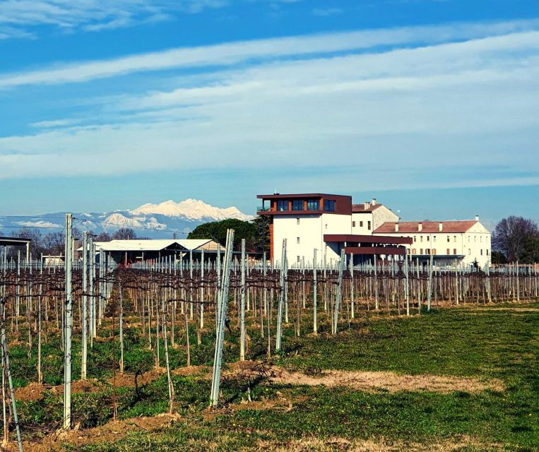 villa-bogdano-1880-guided-winery-tour-and-tasting