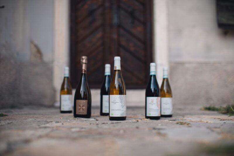 villa-bogdano-1880-guided-winery-tour-and-tasting