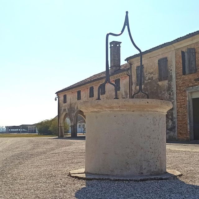 villa-bogdano-1880-guided-winery-tour-and-tasting