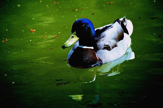 villa-borghese-and-posh-areas-private-photo-tour-and-workshop