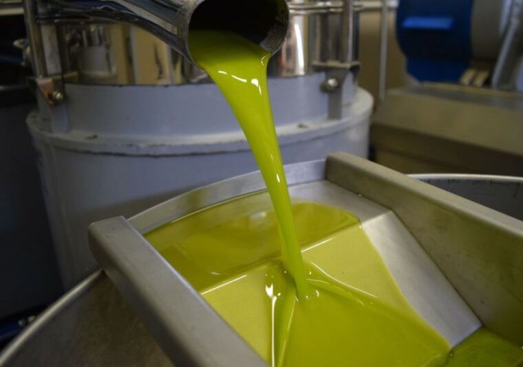 villa-castelli-highlights-walking-tour-w-olive-oil-tasting